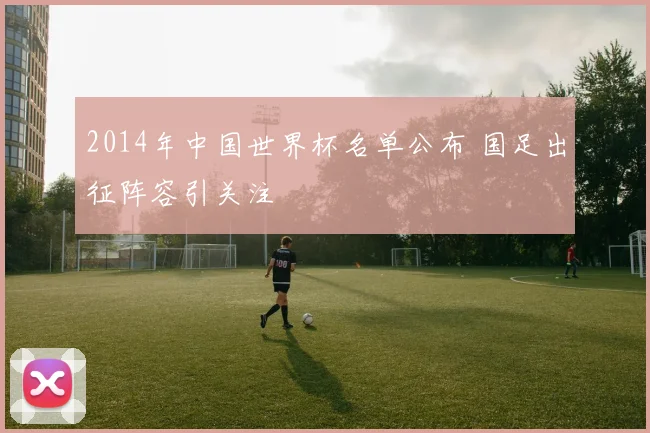 2014年中国世界杯名单公布 国足出征阵容引关注