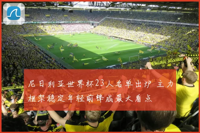 尼日利亚世界杯23人名单出炉 主力框架稳定年轻前锋成最大看点