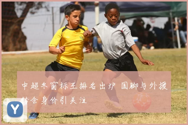 中超冬窗标王排名出炉 国脚与外援转会身价引关注