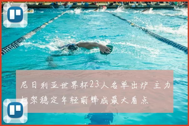 尼日利亚世界杯23人名单出炉 主力框架稳定年轻前锋成最大看点