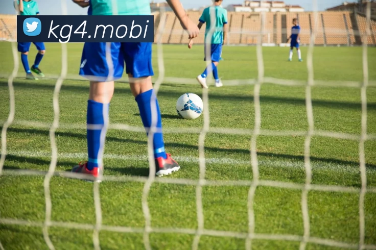 巅峰国际官网 - 追求健康，你我一起成长品牌故事