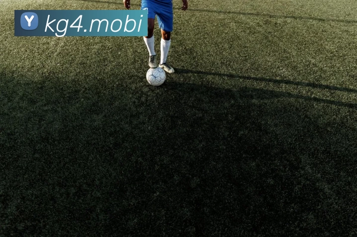 巅峰国际官网 - 追求健康，你我一起成长服务体系